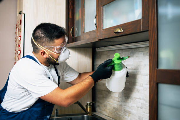 Pest Control Cost in Palmer Lake, CO