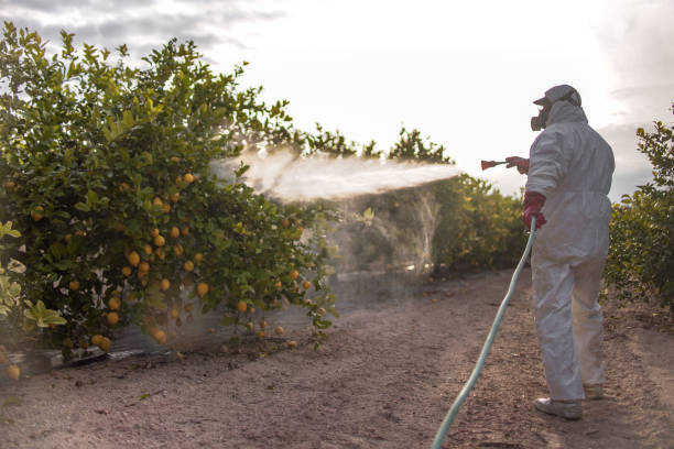 Palmer Lake, CO Pest Control Company