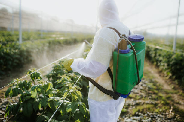 Best Bed Bug Extermination  in Palmer Lake, CO